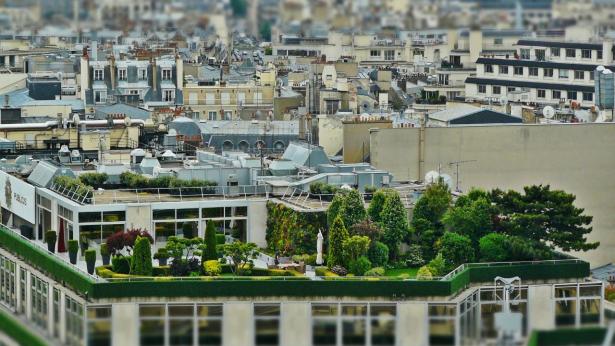 « Habiter demain » : une étude présentée par Aude Pringault, Directrice Prospectives & Stratégie à la Fédération nationale des Caisses d'Epargne