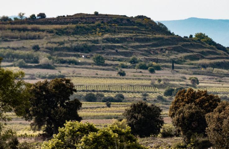 Paysage de territoire rural