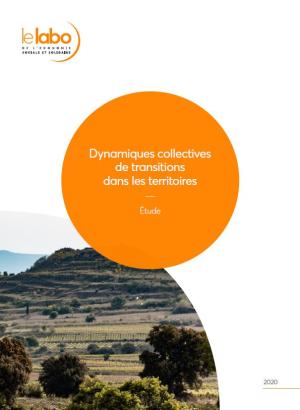 ESS, coopération, PTCE, cluster, territoires, PTCE, territoire zéro chômeur, collectivités territoriales Couverture publication dynamiques collectives de transitions dans les territoires
