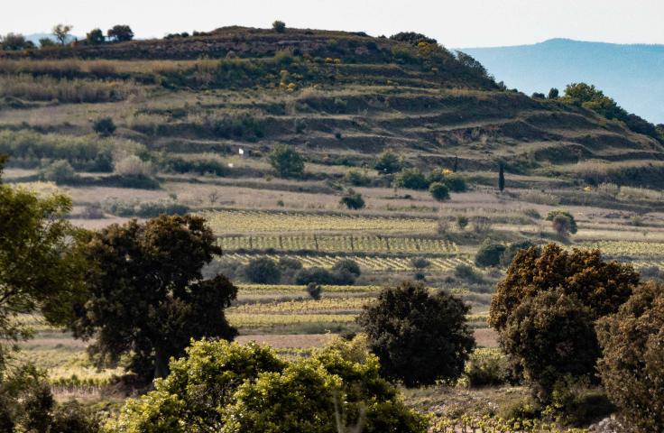 Paysage de territoire rural