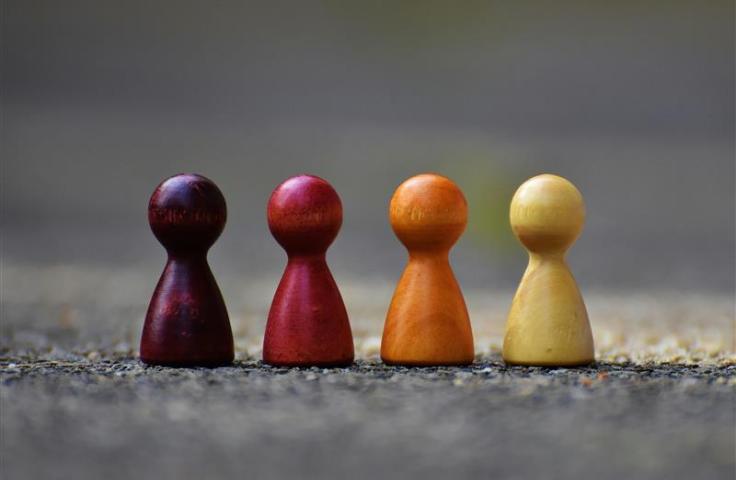 pions en bois de couleur