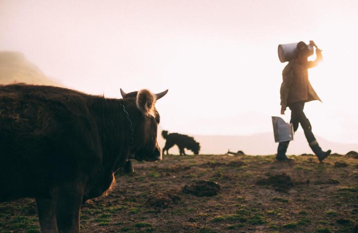 Commerce équitable origine France Commerce équitable origine France