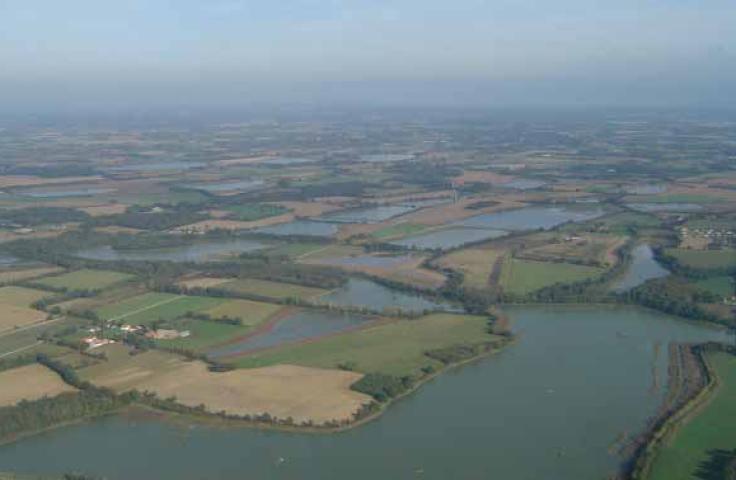 ESS, PTCE, coopération, territoire, gouvernance, pouvoirs publics Paysage