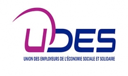 Logo de l'UDES