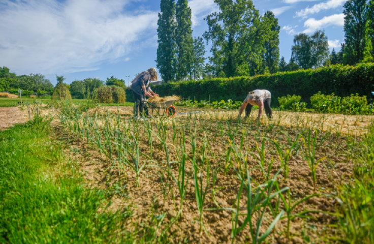Le jardin partagé d'ATD Quart Monde à Nogent-le-Routrou ©Joséphine Lefebvre ©Joséphine Lefebvre