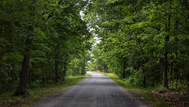 Visuel tribune Hugues Sibille